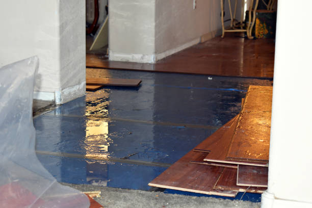 Professional Emergency Water Damage Restoration technician working in Dedham, MA